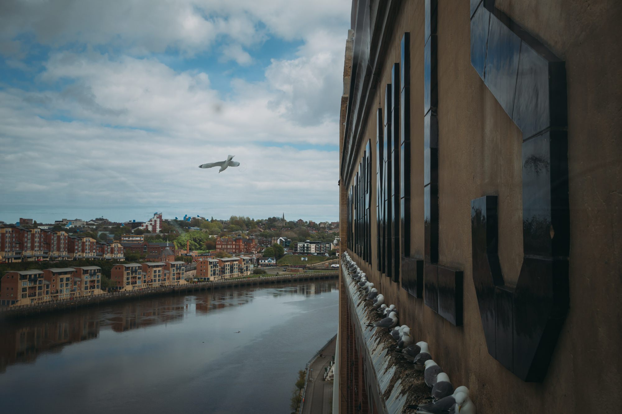 the-baltic-newcastle-wedding-romantic-jo-donaldson-photography