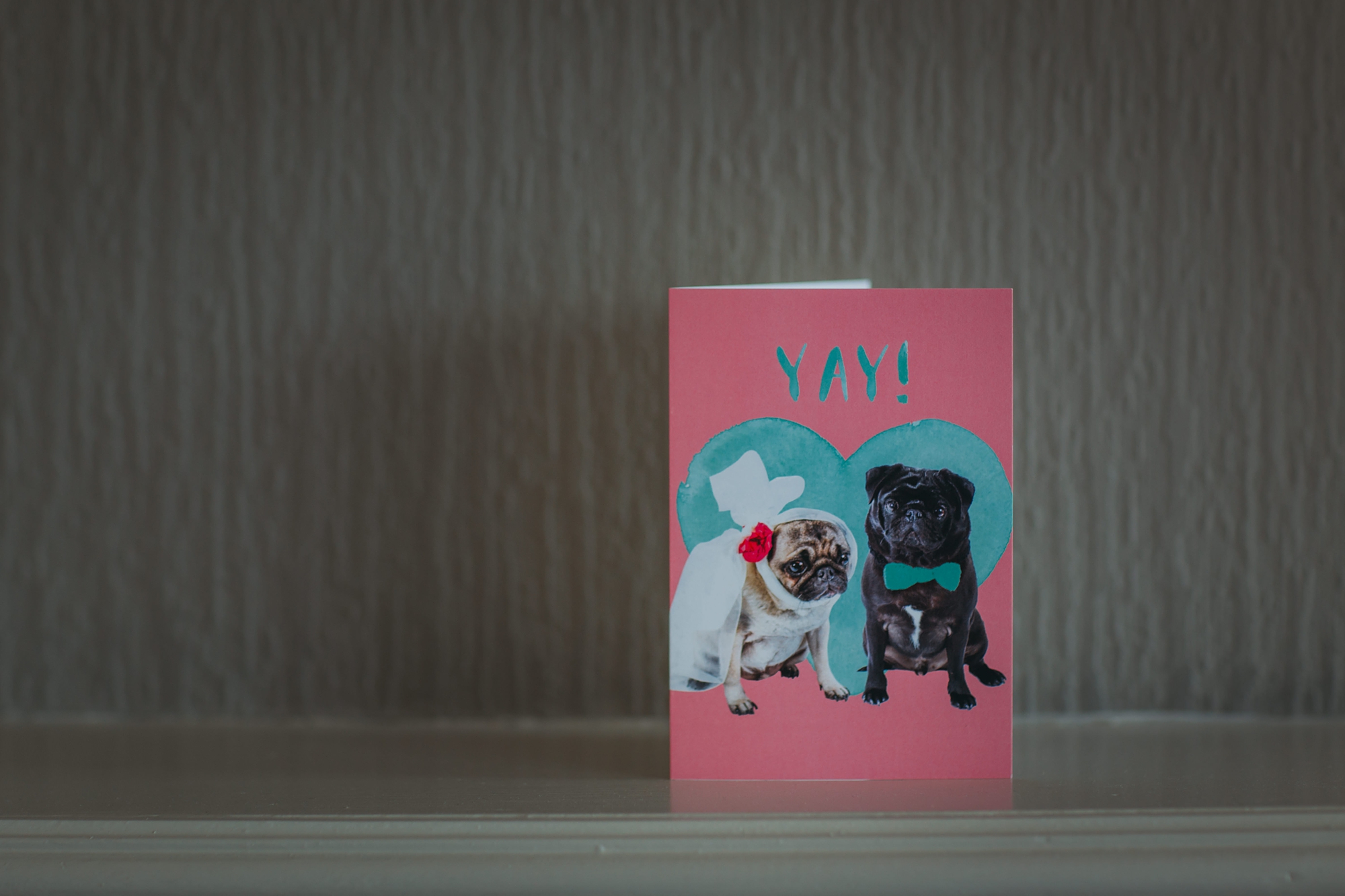 best wedding photographs of a card with two pugs on it