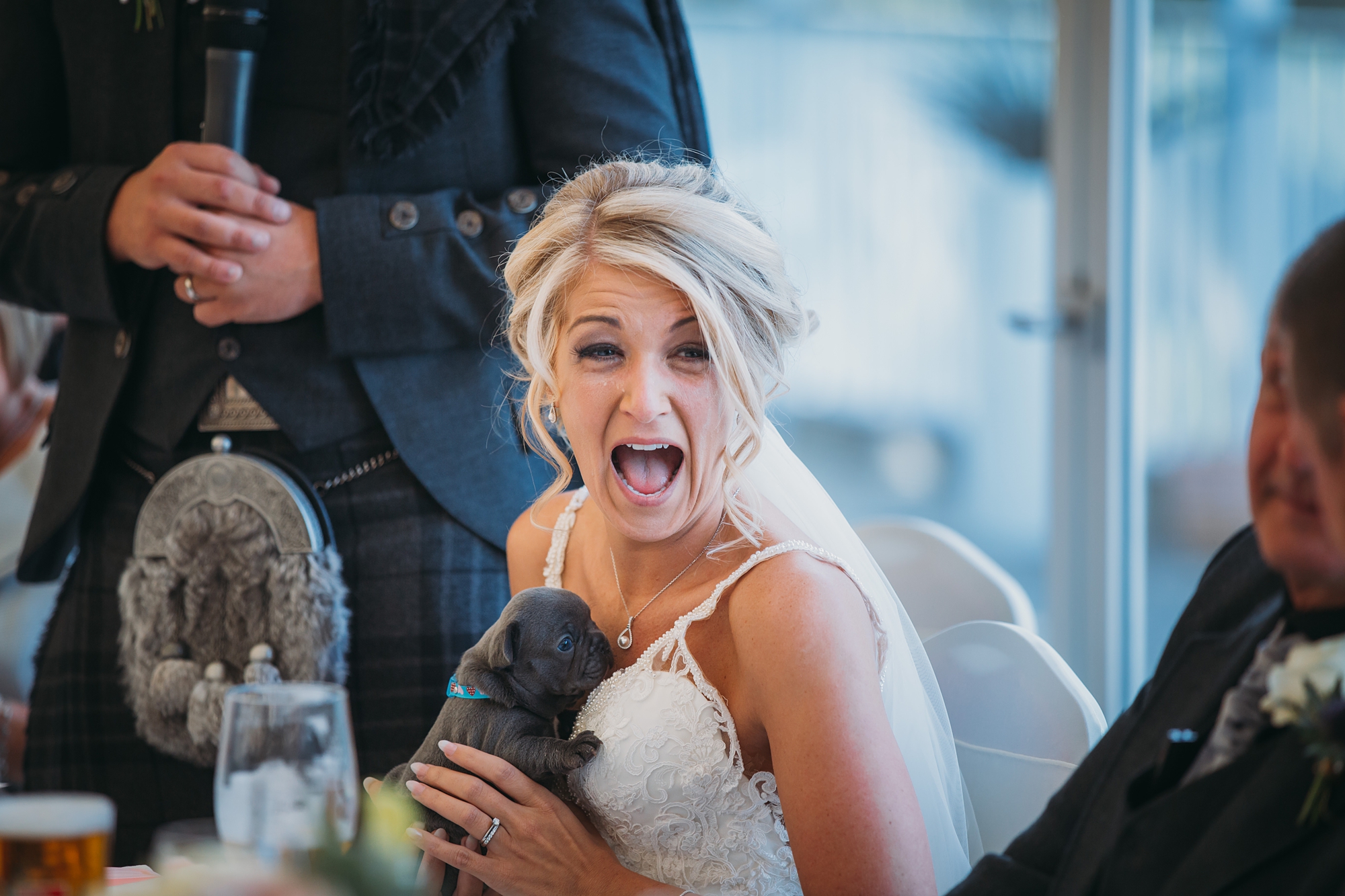 best wedding photographs of a bride getting a puppy at her wedding