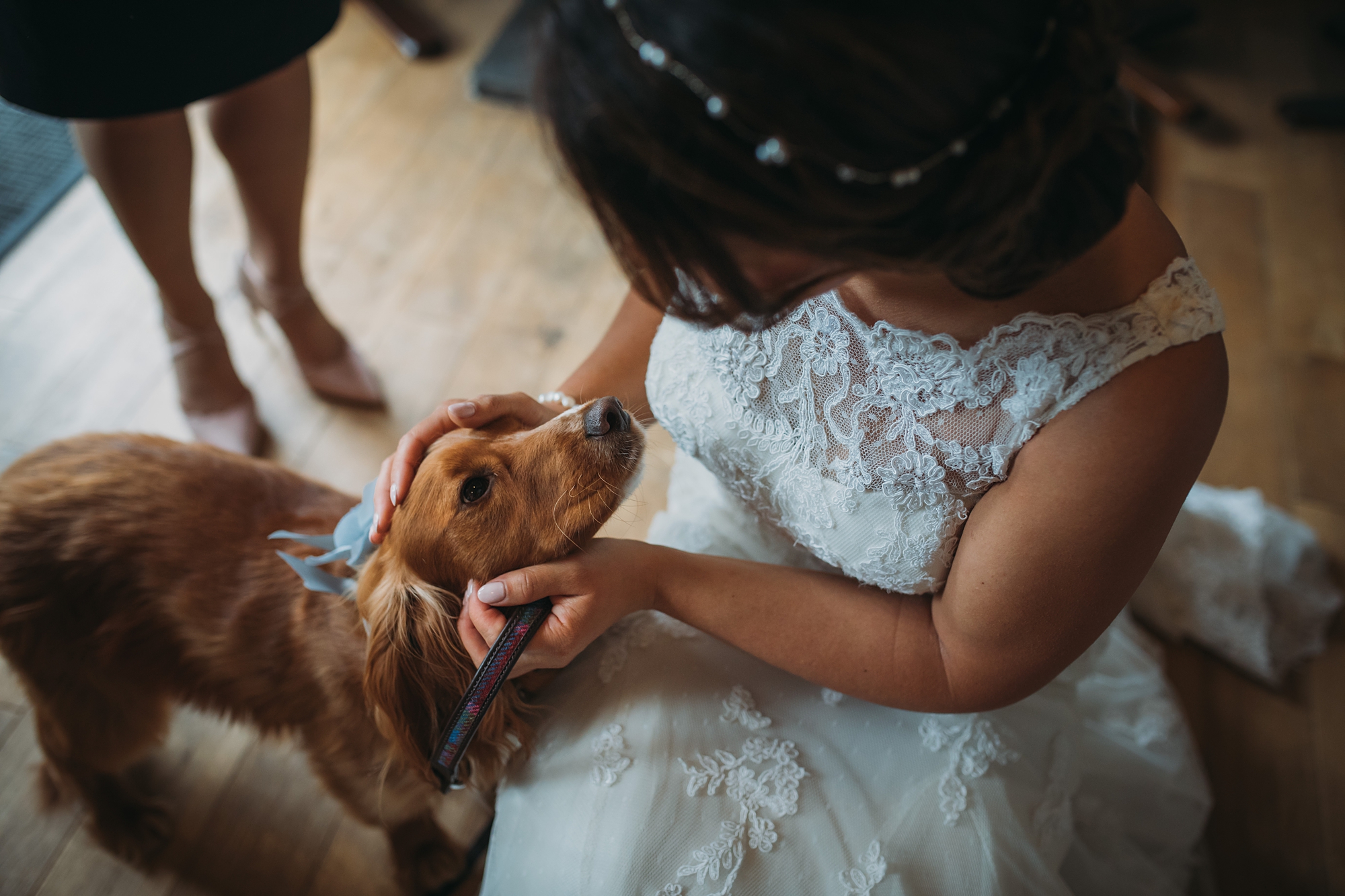 A bride strokes her dog on her wedding day - best wedding photographs